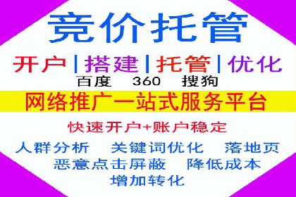SEM专员案例：数据分析与优化